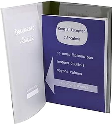 Auxence Porte Documents de Véhicule (Étui de Rangement Carne